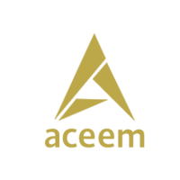 11-aceem.png